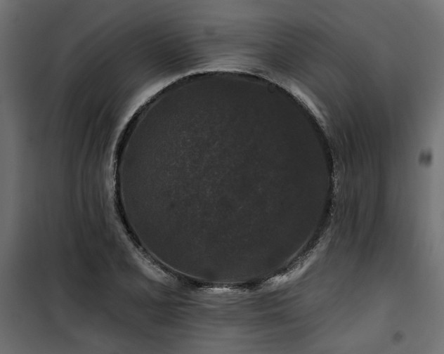 X0000100751077200806191138