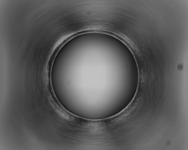 X0000100751078200806191138