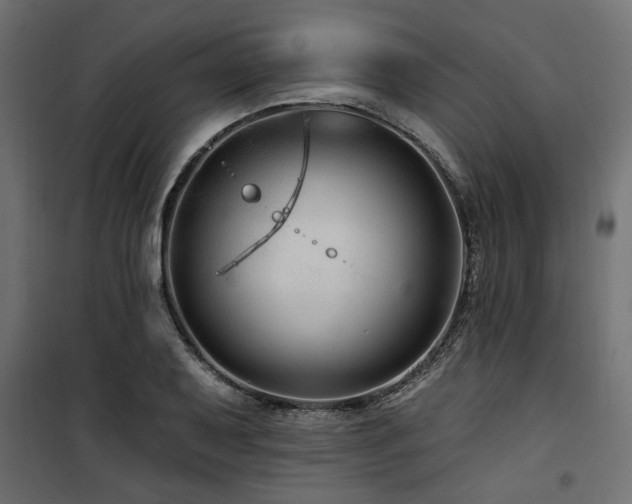 X0000100751079200806191138