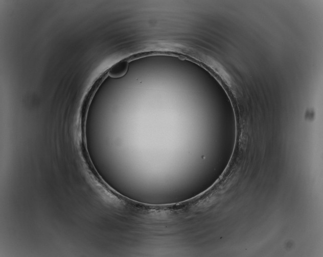 X0000100751080200806191138