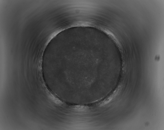 X0000100751081200806191138