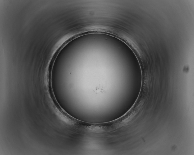 X0000100751082200806191138