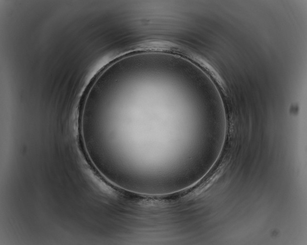 X0000100751083200806191138