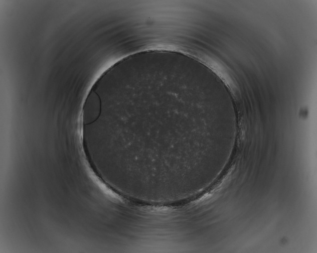 X0000100751084200806191138