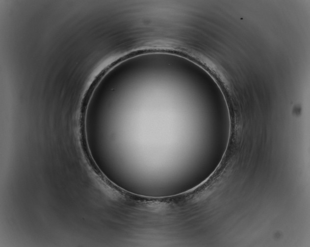 X0000100751085200806191138