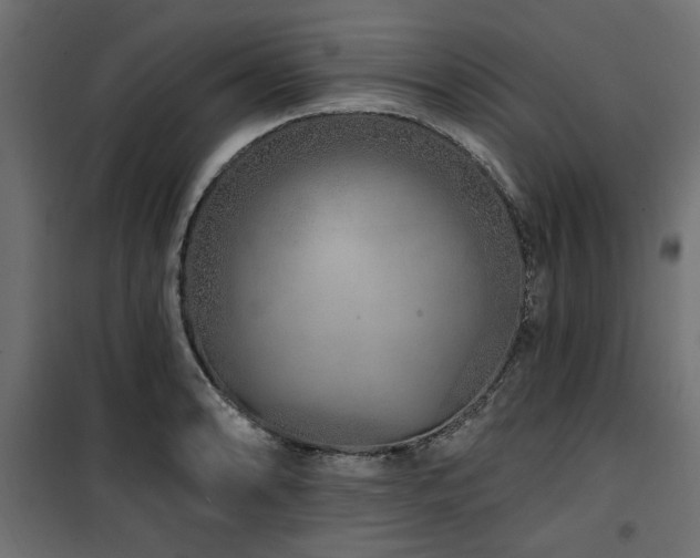 X0000100751086200806191138