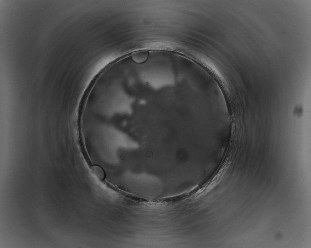 X0000100751087200806191138