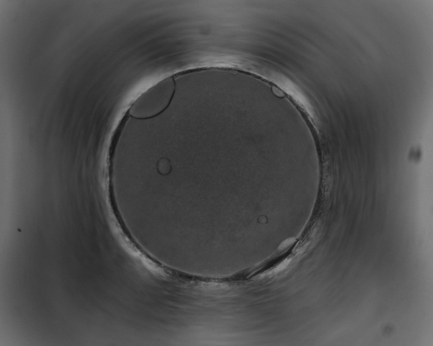 X0000100751088200806191138