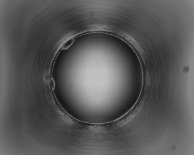 X0000100751089200806191138