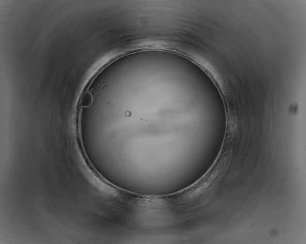 X0000100751090200806191138