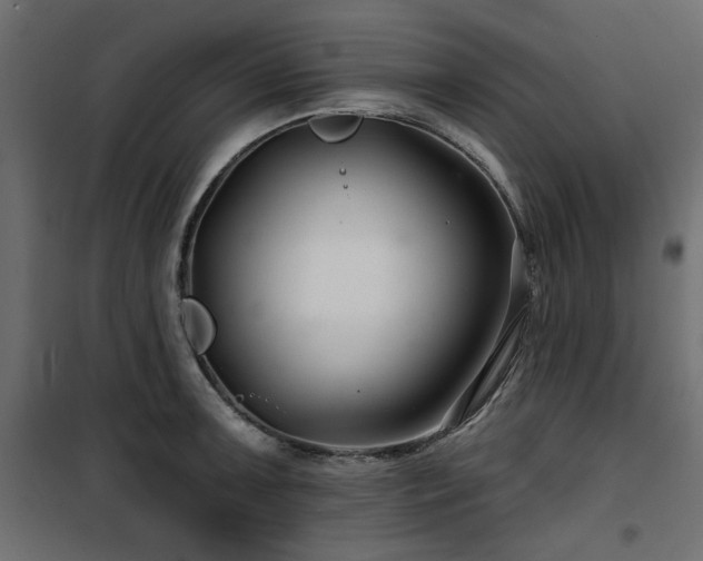 X0000100751091200806191138