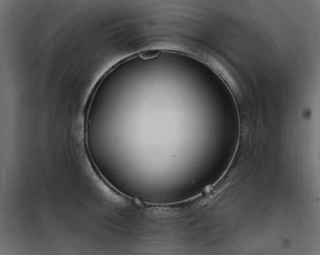 X0000100751092200806191138