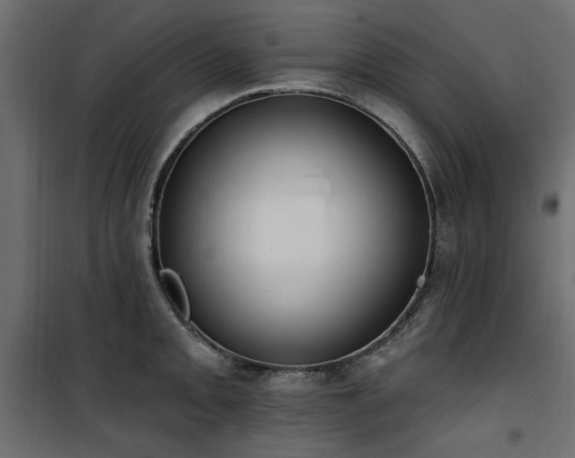 X0000100751093200806191138