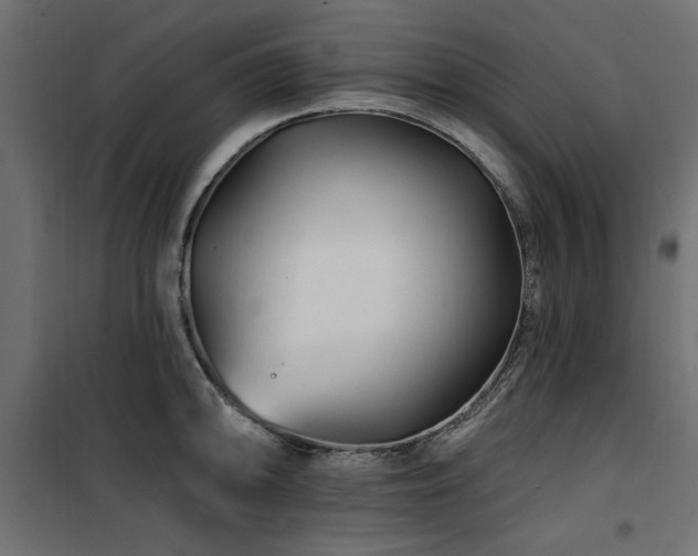 X0000100751094200806191138