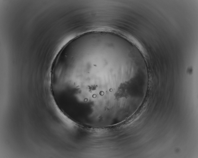 X0000100751095200806191138