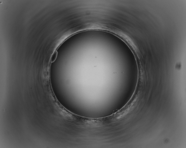 X0000100751097200806191138