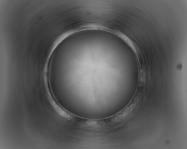 X0000100751098200806191138