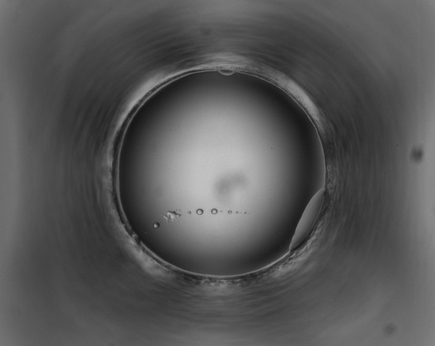 X0000100751099200806191138