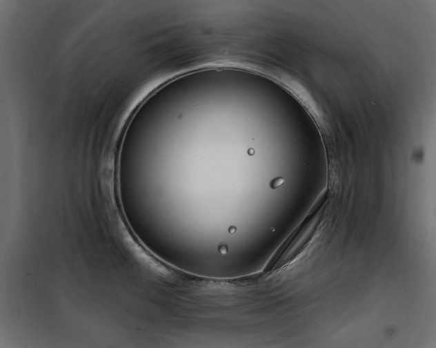 X0000100751100200806191137