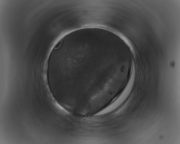 X0000100751102200806191137