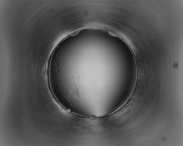 X0000100751103200806191137