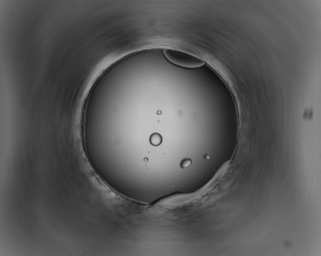 X0000100751104200806191137