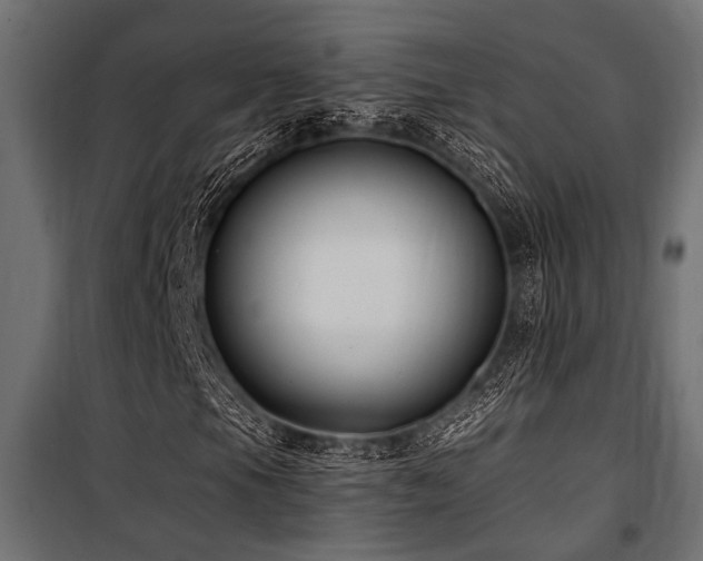 X0000100751105200806191137