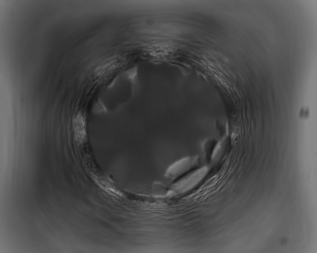 X0000100751106200806191137