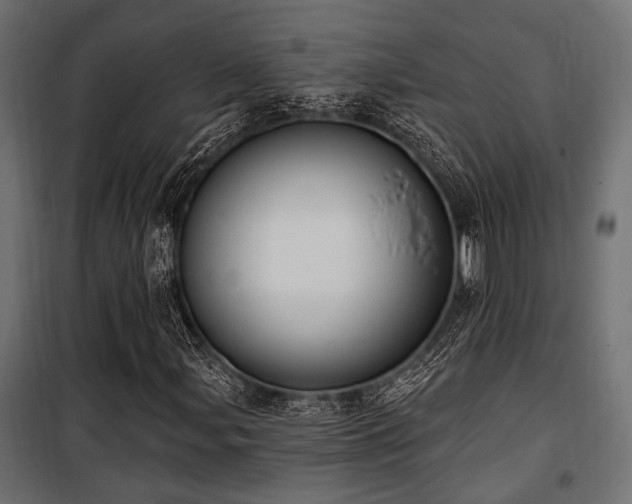 X0000100751107200806191137