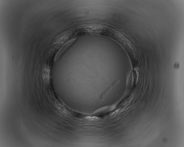 X0000100751108200806191137