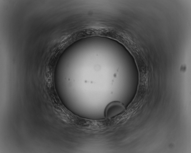 X0000100751109200806191137