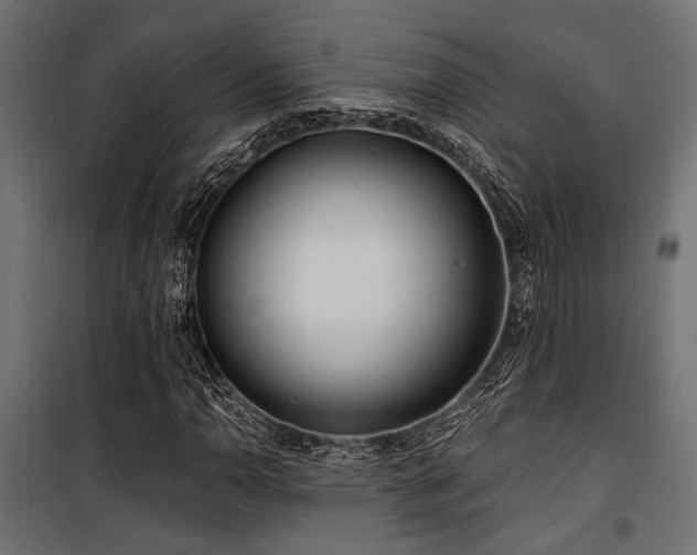 X0000100751110200806191137