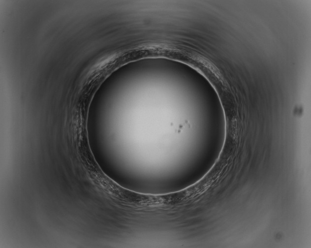 X0000100751111200806191137