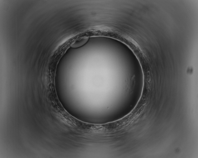 X0000100751112200806191137