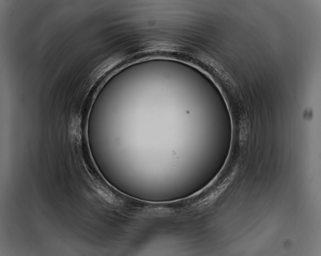 X0000100751113200806191137