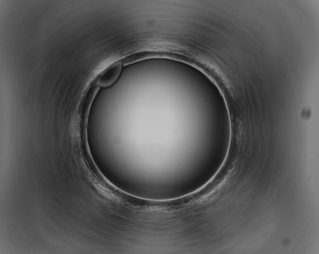 X0000100751114200806191137