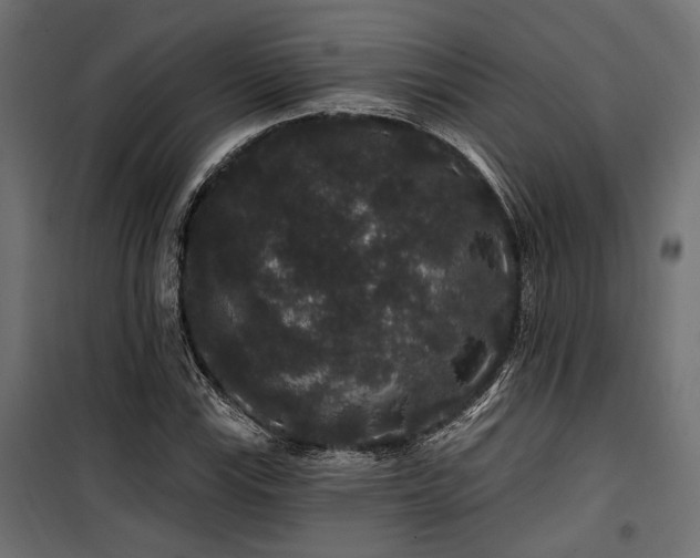 X0000100751115200806191137