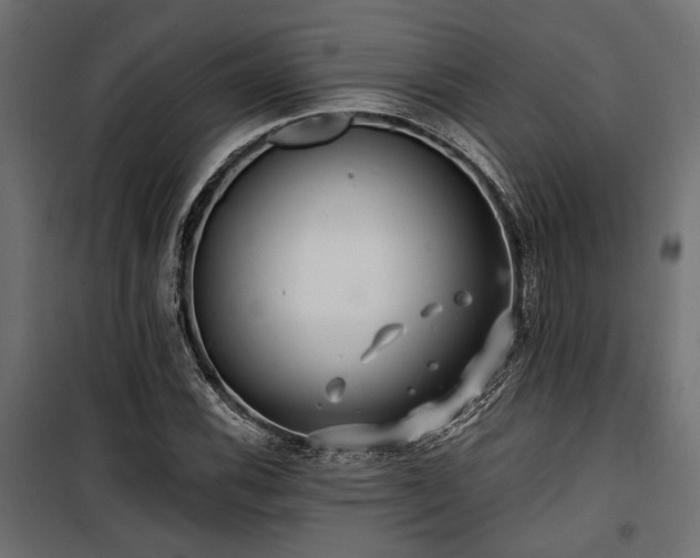 X0000100751116200806191137