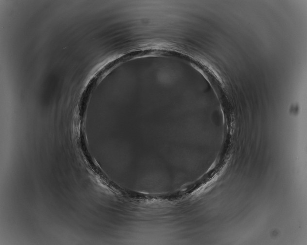 X0000100751117200806191137