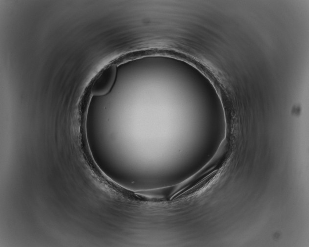 X0000100751118200806191137