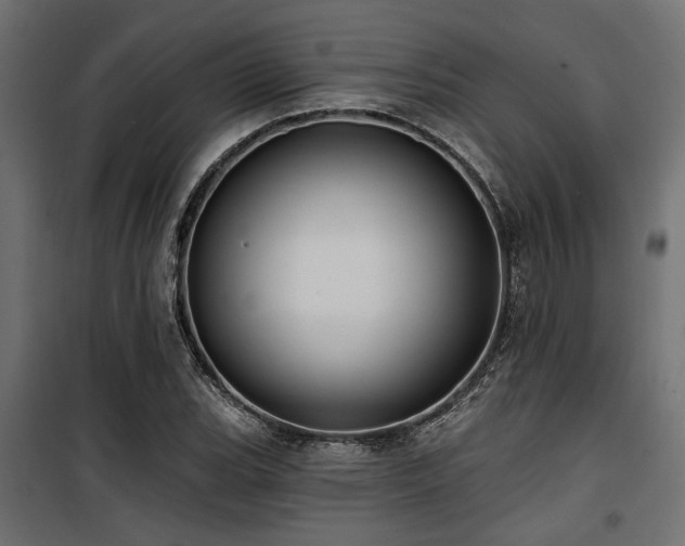 X0000100751119200806191137