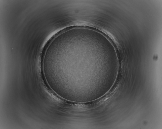 X0000100751120200806191137