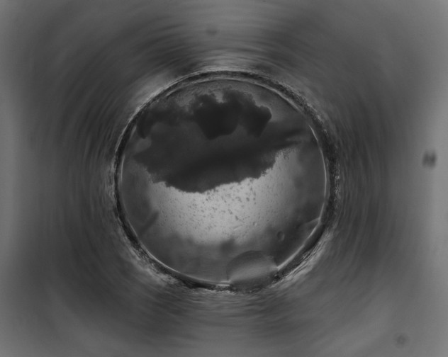 X0000100751121200806191137