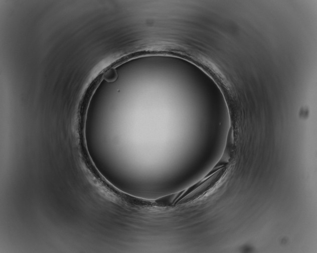 X0000100751122200806191137