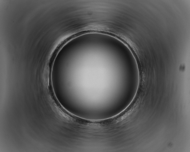 X0000100751123200806191137