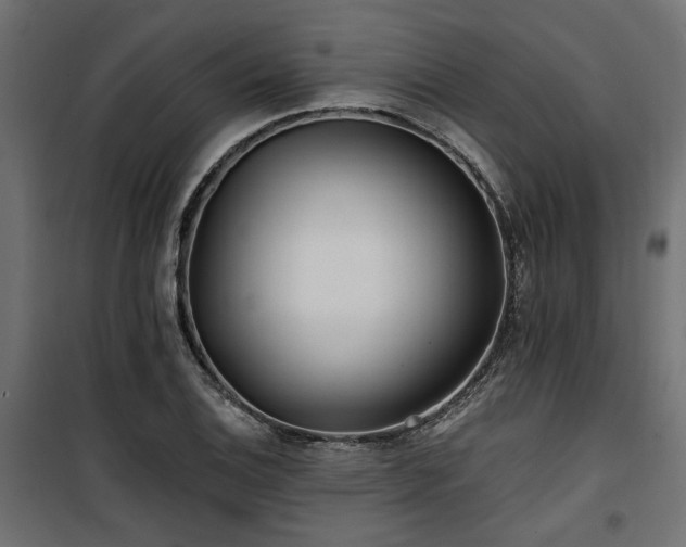 X0000100751124200806191137