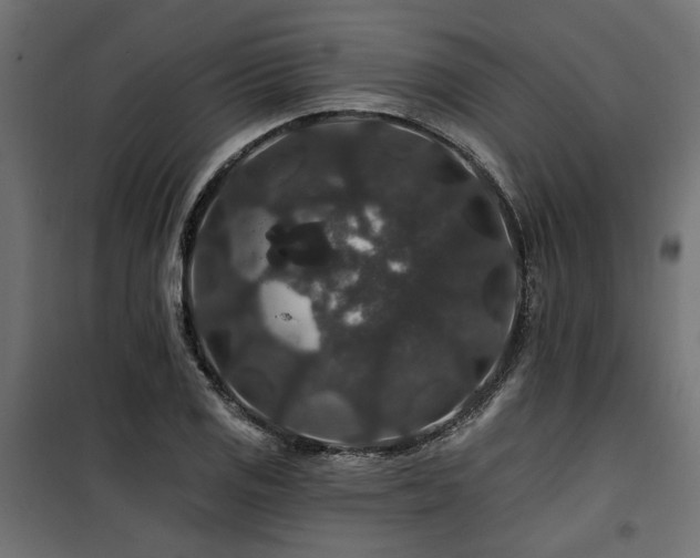 X0000100751125200806191137