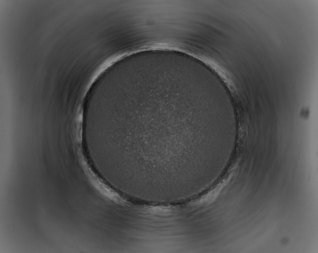 X0000100751126200806191137