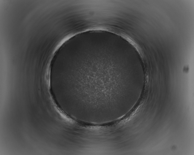 X0000100751127200806191137