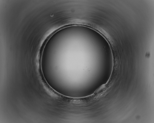 X0000100751128200806191137